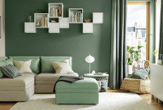 Ruang Tamu Auto Estetik, Ini 3 Warna Cat Minimalis Paling Ngetren di 2025