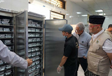 Katering Haji 2026 di Madinah Gunakan Bumbu dan Beras dari Indonesia