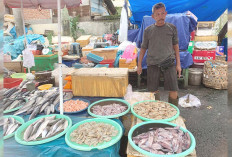 Jelang Ramadhan, Harga Cumi di Pasar Inpres Lubuklinggau Terjun Bebas