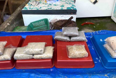Rekomendasi Ikan Giling Segar di Lubuk Linggau, Harga Normal dan Kualitas Terjaga