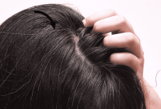 Inilah 8 Alasan Uban yang Muncul di Usia Muda, Hindari Pewarna Rambut Kimia!