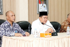 PLN Siap Pasang Jaringan Listrik Desa di Empat Wilayah Terpencil Muba, Dapat Dukungan Dishut Sumsel