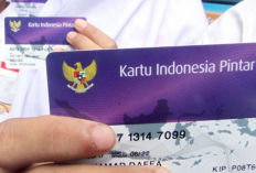 Cukup Pakai HP! Begini Cara Cek Status Penerima dan Besaran Dana PIP 2026 