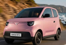 Mobil Listrik Mini Terbaru 2026: VinFast VF 2 Punya Fitur Cukup, Harga Bersahabat