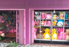 Toko Boneka Chia Banyak Koleksi yang Lucu dan Berkualitas untuk Hadiah Spesial