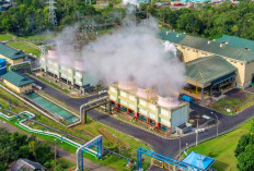 PLN Tingkatkan Proyek Panas Bumi, Dorong Swasembada Energi Nasional
