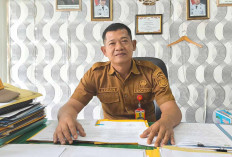 Langgar Disiplin Berat, Oknum ASN Diberhentikan