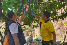 Istri Jemput Anak, Sopir di Lubuk Linggau Bunuh Diri, Dua Minggu Sebelum Kejadian Sempat Ribut Dengan Istri