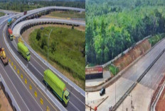 Kabar Gembira, Jalan Tol Trans Sumatera Bakal Tambah Panjang, 100 Km di Tahun 2025