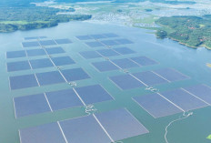 Akselerasi Transisi Energi PLN Peroleh Apresiasi pada Ajang IBEA 2025