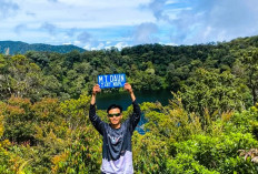 Bukit Daun : Pesona Alam Indah Yang Wajib Di Kunjungi