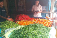Kabar Baik untuk Emak-emak di Lubuk Linggau, Harga Cabai Mulai Turun