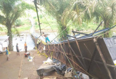 Jembatan Tepian Ayo Malus Putus Warga Kesulitan Akses Jalan ke Kebun