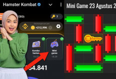 Update Terbaru Kunci Mini Game Hamster Kombat Hari Ini 23 Agustus 2024, Ikuti Polanya Dalam Waktu 30 Detik