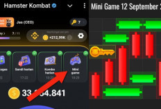 Kunci Mini Game Hamster Kombat Hari Ini Kamis 12 September 2024, Ini Polanya