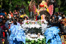 Viral! Pesta Ulang Tahun 3 Kucing, Diarak Pakai Becak Hias hingga Diiringi Dangdut dan Kuda Lumping