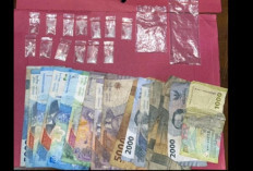 Perempuan Asal Muratara Ditangkap saat Hendak Transaksi Sabu