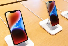 iPhone 13 dan iPhone 14 Masih Laris Manis di Tahun Baru