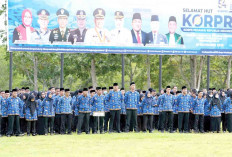 Gara-gara 3 Hal ini, 7 Oknum ASN di Banyuasin dan OKI Dipecat