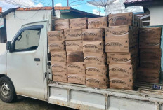 Stok Masih Terbatas, Distributor Minyak Goreng Tetap Layani Permintaan Pasar