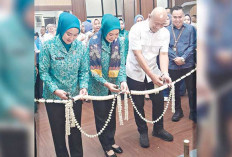 Launching Aplikasi Kriya Linggau, Ketua Dekranasda Sumsel Sampaikan Pujian Saat Resmikan Gerai Mini Dekranasda
