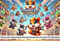 Sandi Harian dan Combo Harian Hamster Kombat Hari Ini Jumat 20 September 2024