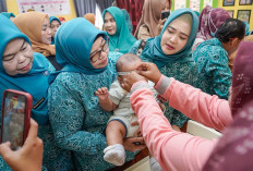 Tentang Keberhasilan Posyandu di Muba, ini Pesan Penting dari Fatimah Toha