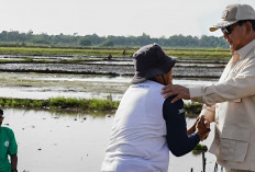 Catat! 3 Kriteria 1 Juta UMKM Hingga Petani Dapat Penghapusan Utang dari Prabowo