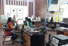 Izin Distributor Semen Baturaja Dipertanyakan, Berikut Penjelasan DPMPTSP Lubuklinggau