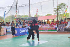 Sebanyak 900 Pesilat Meriahkan Bupati Cup III Muba 2025