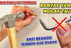  10 Teknik Menancapkan Paku ke Tembok Keras dengan Mudah,Yuks Simak Disini