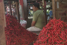 Harga Cabai Melonjak Usai Lebaran, Aktivitas Pasar Bukit Sulap Masih Lesu 