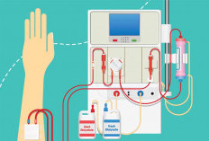 Biaya Cuci Darah Ditanggung BPJS 