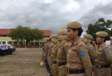 CPNS 2025 Dibatalkan! Sekolah Kedinasan 2025 Masih Ada Harapan?