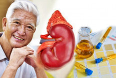 10 Cara Cek Kesehatan Ginjal Sendiri Lewat Warna Urine untuk Lansia