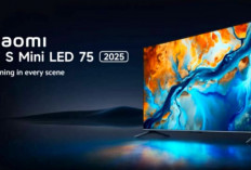 Xiaomi Perkenalkan TV S 75 2025, Tawarkan Panel Mini LED 75 Inci dan Tingkat Kecerahan Hingga 1.200 Nits