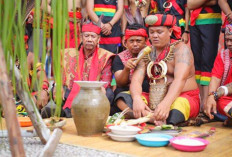 5 Pengobatan Tradisional Ala Suku Dayak, Ampuh Lawan Berbagai Penyakit Dengan Sentuhan Magis