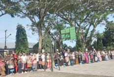4 SMA Negeri di Lubuk Linggau Daya Tampungnya 10 Rombel