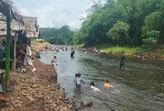 Sejuk dan Seru di Ayo Jeneh Ulu Malus, Destinasi Favorit Warga untuk Bersantai dan Bermain Air