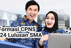 Kesempatan Emas! Ini 10 Formasi CPNS 2024 untuk Lulusan SMA yang Sepi Peminatnya