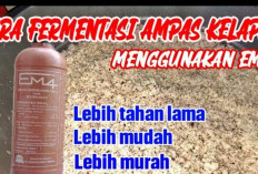 5 Cara Fermentasi Ampas Kelapa dengan EM4 Peternakan Sebagai Pakan Ayam Kampung