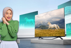 5 Rekomendasi Smart TV Terbaik 2024, dari Hisense Fitur Lengkap Kualitas Mahal