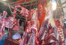 Daging Sapi Segar Masih Jadi Primadona, Penjualan Stabil di Pasar Bukit Sulap