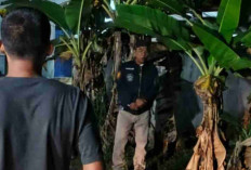 Heboh! Ada Penampakan Pocong di Musi Rawas, Ini Penjelasan Kapolsek Tugumulyo