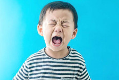Tantrum Bukan Nakal, Begini Cara Merespons Anak Tanpa Teriakan