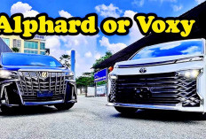 Segini Pajak Mobil Toyota Voxy dan Toyota Alphard Berdasarkan Tahun, Penasaran Cek Selengkapnya