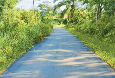 Pemkab Musi Rawas Perbaiki Jalan di Purwodadi, Warga Senang Aktivitas Kini Lancar