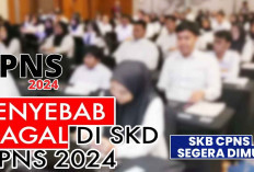 Kesalahan Umum Penyebab Gagal Lulus SKB CPNS, Ini Tips Sukses Hadapi SKB