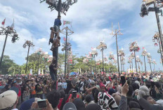Puluhan Ribu Pengunjung Nonton Panjat Pinang 80 Pohon, Sukses Diselenggarakan Sumatera Ekspres