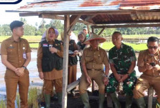 Gubernur Sumsel, Herman Deru Apresiasi Kota Lubuk Linggau Bisa Pertahankan Lahan Sawah
